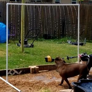 PVC sprinkler for dogs or children
